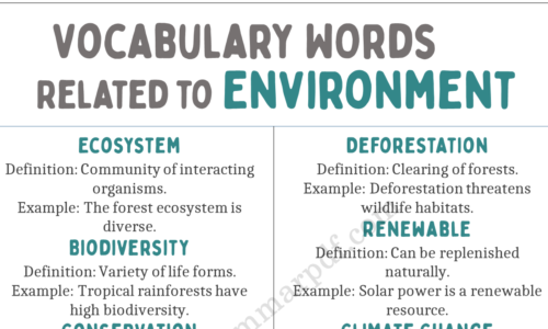 30 Vocabulary Words Related to Environment