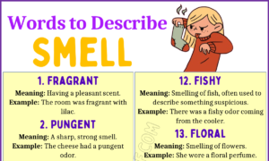 Words to Describe Smell 1