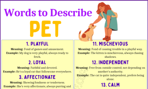 20 Words to Describe Your Pet