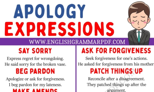 Learn 20 Interesting Apology Expressions