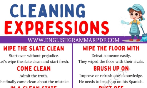 Explore 20 Cleaning Expressions in English