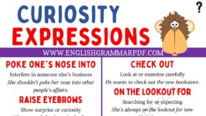 curiosity expressions