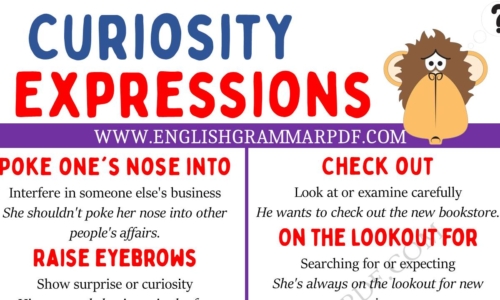 Learn 20 Interesting Curiosity Expressions