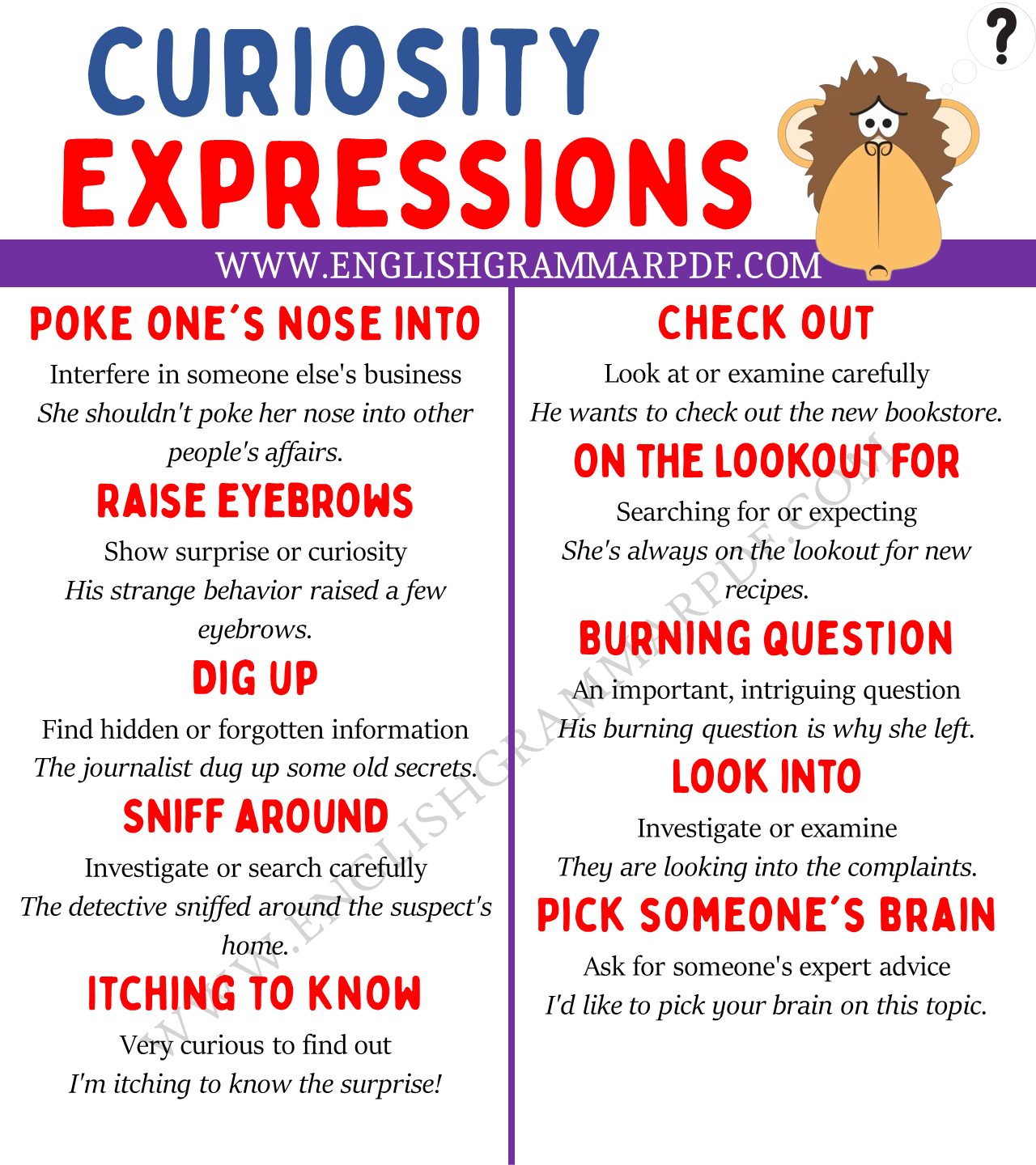 curiosity expressions