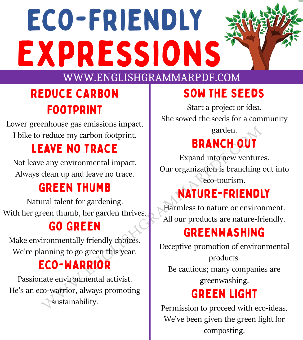eco friendly expressions
