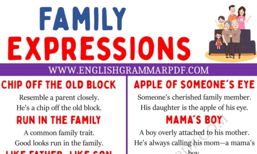 Learn 20 Interesting Family Expressions