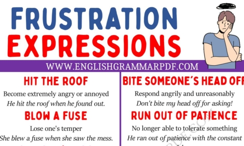 Learn 20 Interesting Frustration Expressions