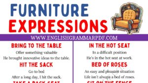 furniture expressions