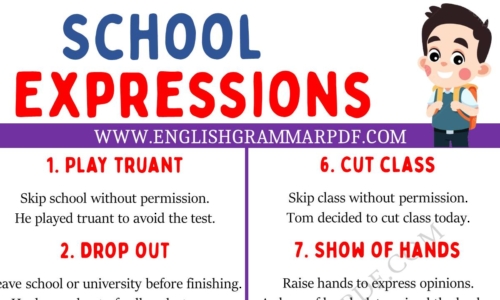 Explore 20 School Expressions in English