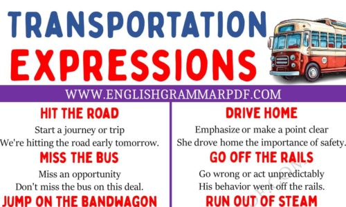 Explore 20 Transportation Expressions in English